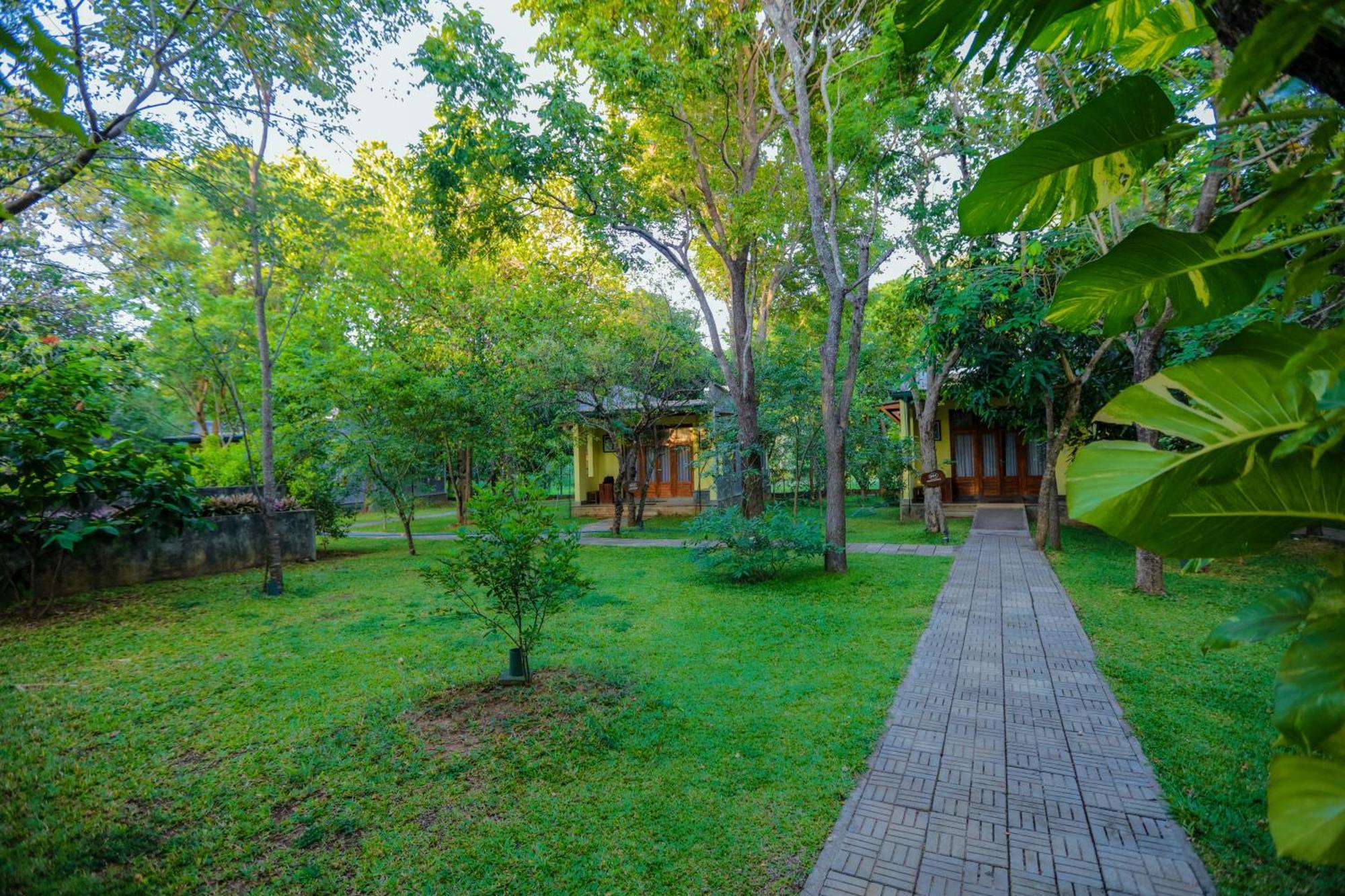 Sigiri Asna Nature 3* Sigiriya