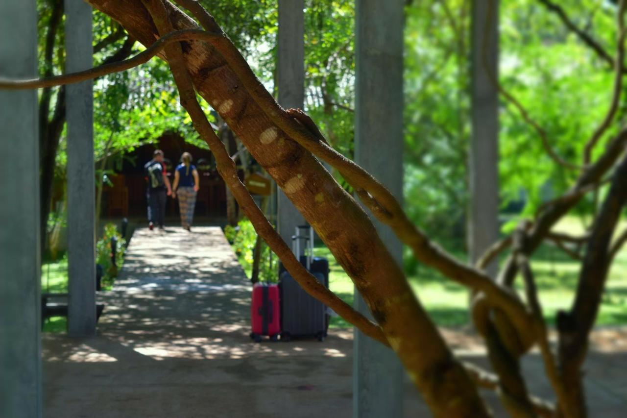 Sigiri Asna Nature Resort Sigiriya